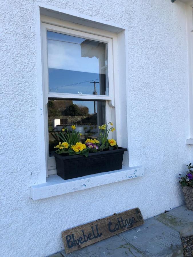 Bluebell Cottage Kilmore Quay Kültér fotó